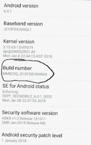 build ondeveloper options android