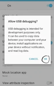 usb dubugging developer mode